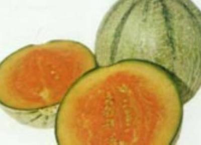 خوردن طالبی برای پیشگیری از چین و چروک