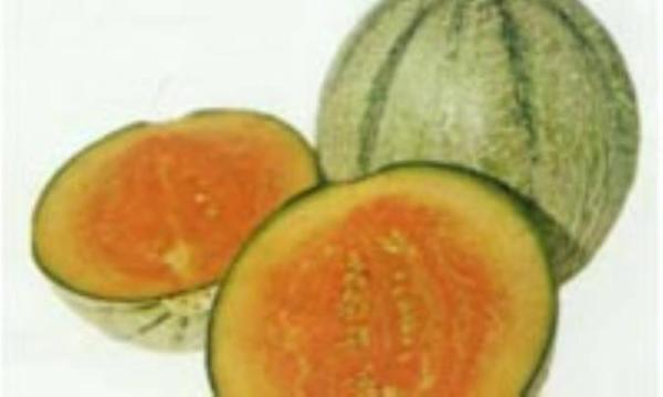 خوردن طالبی برای پیشگیری از چین و چروک