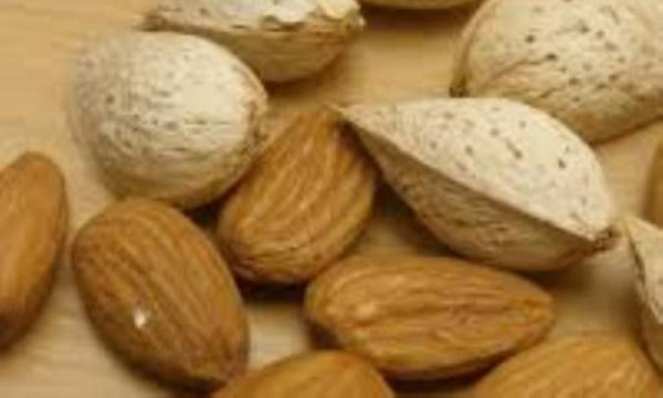 حقایق تغذیه ای بادام حقایق تغذیه ای بادام