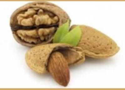 گردو در برابر بادام