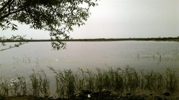 لذت ماهیگیری به همراه خانواده در آب بندان روستای مرزبال لذت ماهیگیری به همراه خانواده در آب بندان روستای مرزبال
