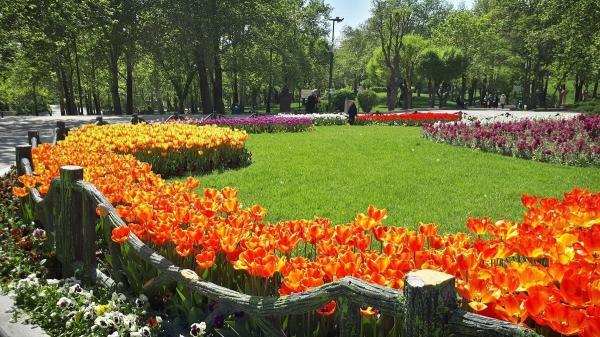 پیش بینی وضعیت آب و هوای تهران فردا یکشنبه 11 اردیبهشت پیش بینی شرایط آب و هوای تهران فردا یکشنبه 11 اردیبهشت