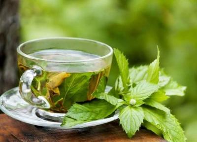 روش های درمان جای جوش با برگ نعناع